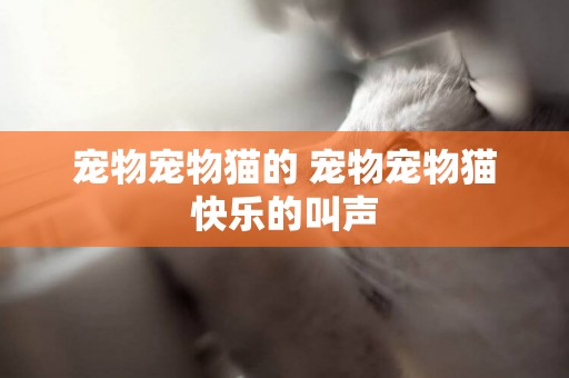 寵物寵物貓的 寵物寵物貓快樂的叫聲