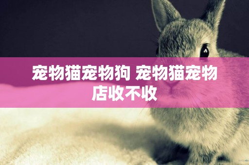 寵物貓寵物狗 寵物貓寵物店收不收