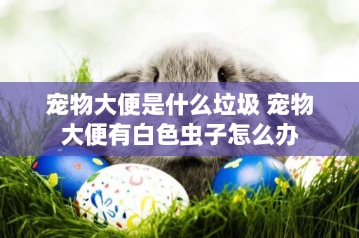 寵物大便是什么垃圾 寵物大便有白色蟲子怎么辦