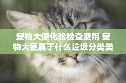 寵物大便化驗檢查費用 寵物大便屬于什么垃圾分類類別