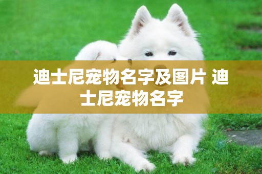 迪士尼寵物名字及圖片 迪士尼寵物名字
