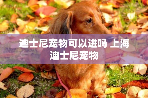 迪士尼寵物可以進嗎 上海迪士尼寵物
