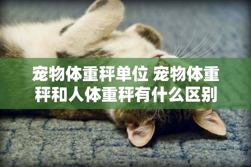 寵物體重秤單位 寵物體重秤和人體重秤有什么區別