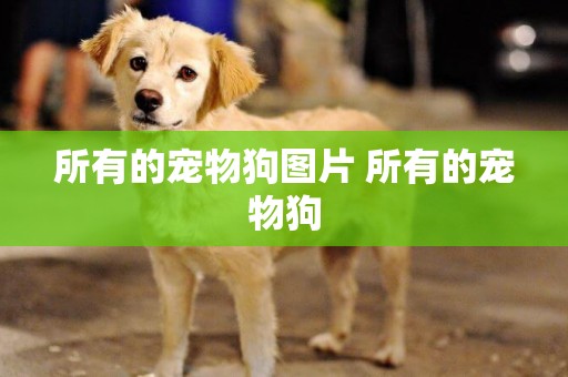 所有的寵物狗圖片 所有的寵物狗