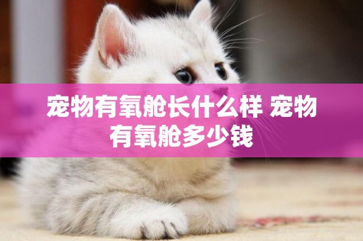 寵物有氧艙長什么樣 寵物有氧艙多少錢