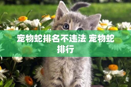 寵物蛇排名不違法 寵物蛇排行
