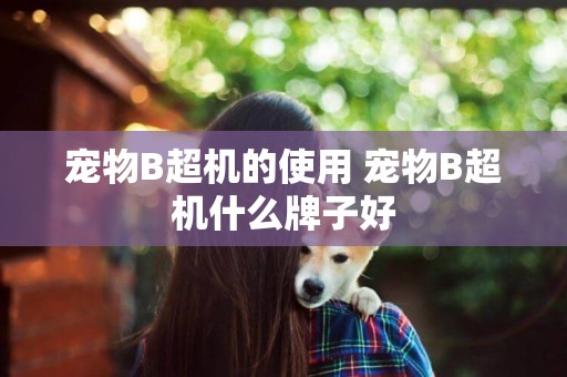 寵物B超機的使用 寵物B超機什么牌子好