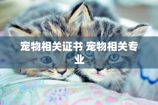寵物相關證書 寵物相關專業