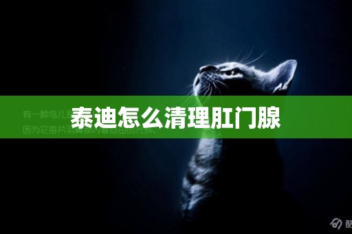 泰迪怎么清理肛門腺