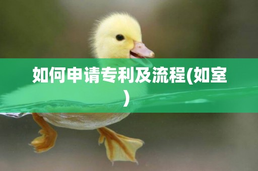 如何申請專利及流程(如室) 