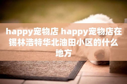 happy寵物店 happy寵物店在錫林浩特華北油田小區的什么地方