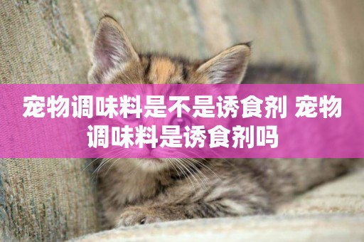寵物調味料是不是誘食劑 寵物調味料是誘食劑嗎
