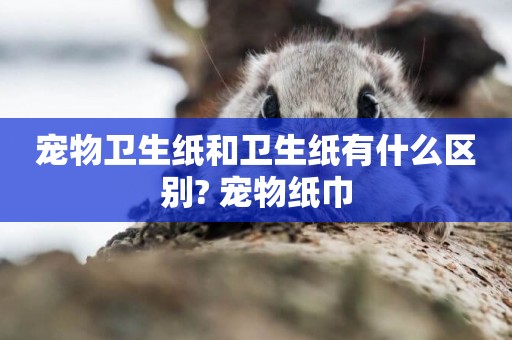 寵物衛生紙和衛生紙有什么區別? 寵物紙巾