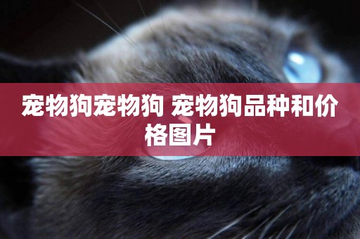 寵物狗寵物狗 寵物狗品種和價格圖片