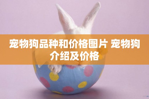 寵物狗品種和價格圖片 寵物狗介紹及價格