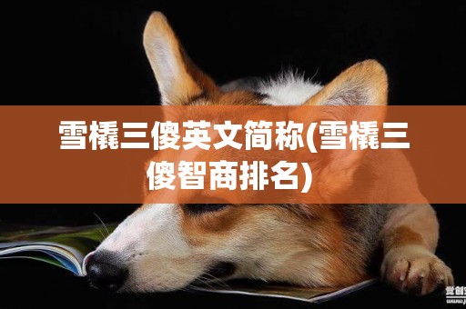 雪橇三傻英文簡稱(雪橇三傻智商排名) 