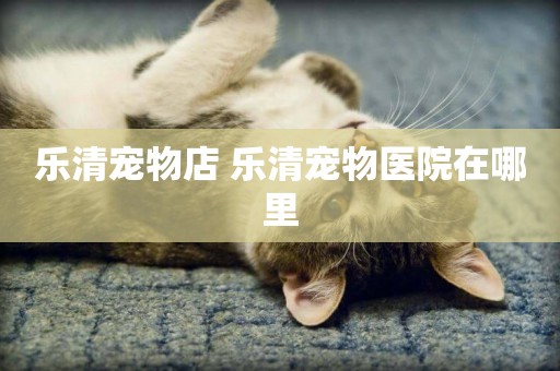 樂清寵物店 樂清寵物醫院在哪里
