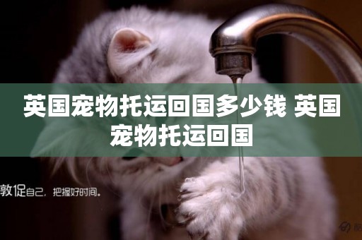 英國寵物托運回國多少錢 英國寵物托運回國