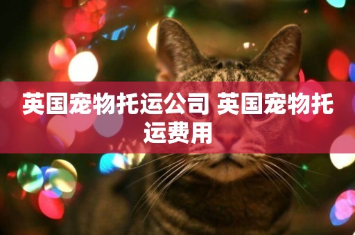 英國寵物托運公司 英國寵物托運費用
