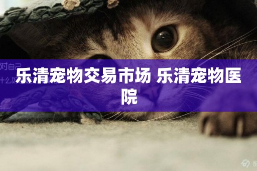 樂清寵物交易市場 樂清寵物醫院