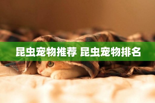 昆蟲寵物推薦 昆蟲寵物排名
