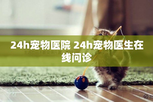 24h寵物醫院 24h寵物醫生在線問診