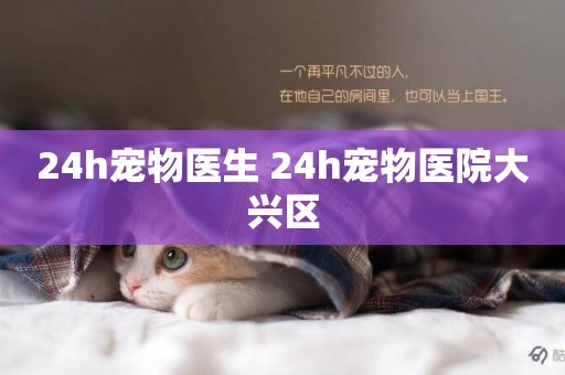 24h寵物醫生 24h寵物醫院大興區