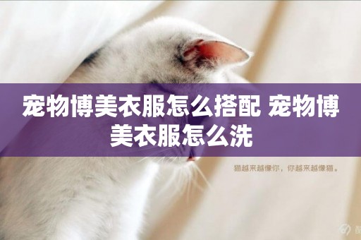 寵物博美衣服怎么搭配 寵物博美衣服怎么洗