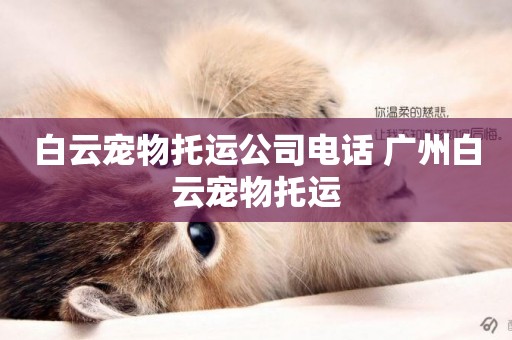 白云寵物托運公司電話 廣州白云寵物托運