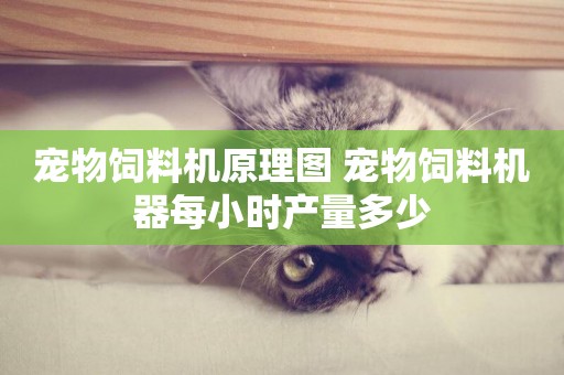 寵物飼料機原理圖 寵物飼料機器每小時產量多少