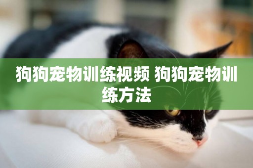 狗狗寵物訓練視頻 狗狗寵物訓練方法