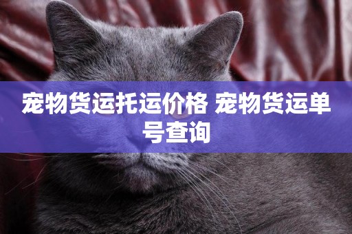 寵物貨運托運價格 寵物貨運單號查詢
