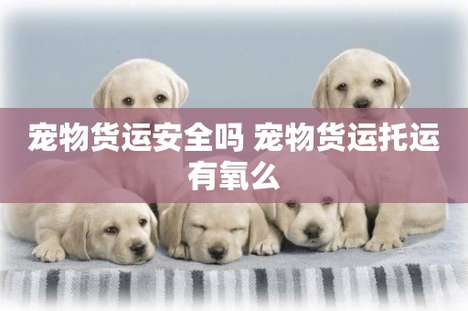 寵物貨運安全嗎 寵物貨運托運有氧么
