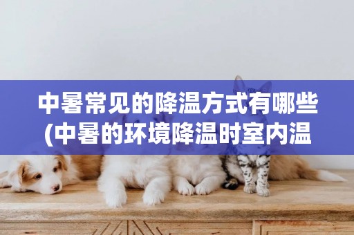 中暑常見的降溫方式有哪些(中暑的環境降溫時室內溫度宜控制在) 