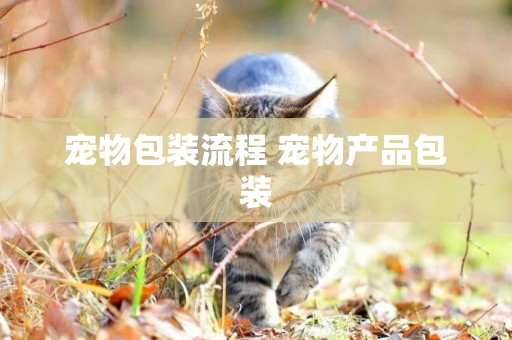 寵物包裝流程 寵物產品包裝