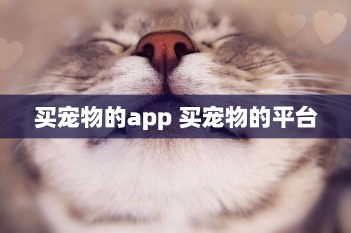 買寵物的app 買寵物的平臺