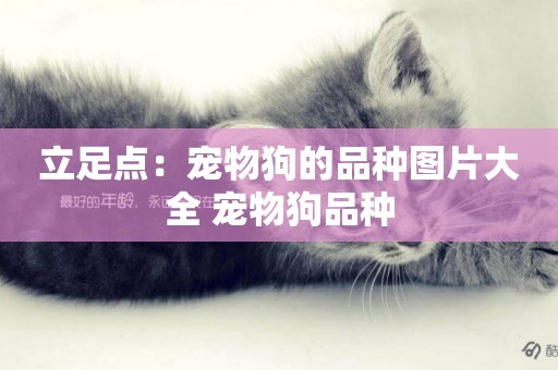 立足點：寵物狗的品種圖片大全 寵物狗品種