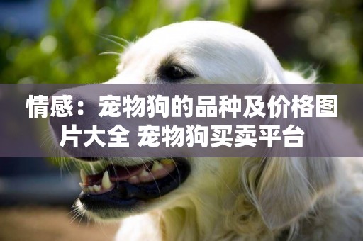 情感：寵物狗的品種及價格圖片大全 寵物狗買賣平臺
