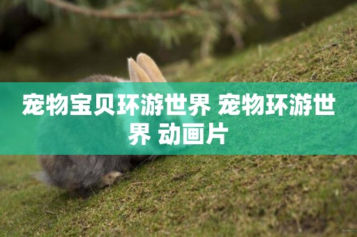 寵物寶貝環游世界 寵物環游世界 動畫片