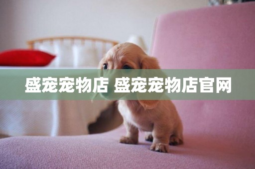 盛寵寵物店 盛寵寵物店官網