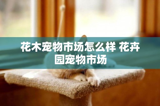 花木寵物市場怎么樣 花卉園寵物市場