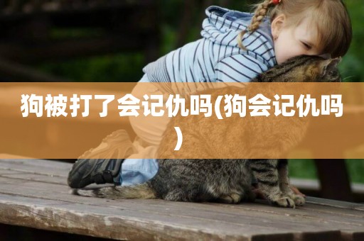 狗被打了會記仇嗎(狗會記仇嗎) 