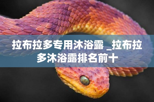 拉布拉多專用沐浴露 _拉布拉多沐浴露排名前十
