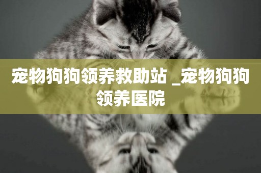 寵物狗狗領養救助站 _寵物狗狗領養醫院