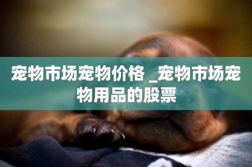 寵物市場寵物價格 _寵物市場寵物用品的股票