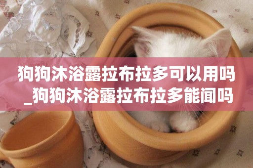 狗狗沐浴露拉布拉多可以用嗎 _狗狗沐浴露拉布拉多能聞嗎