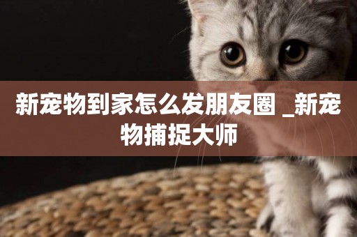 新寵物到家怎么發朋友圈 _新寵物捕捉大師