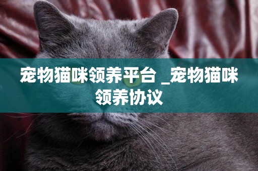 寵物貓咪領養平臺 _寵物貓咪領養協議