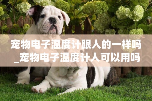 寵物電子溫度計跟人的一樣嗎 _寵物電子溫度計人可以用嗎