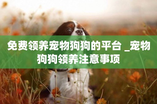 免費領養寵物狗狗的平臺 _寵物狗狗領養注意事項